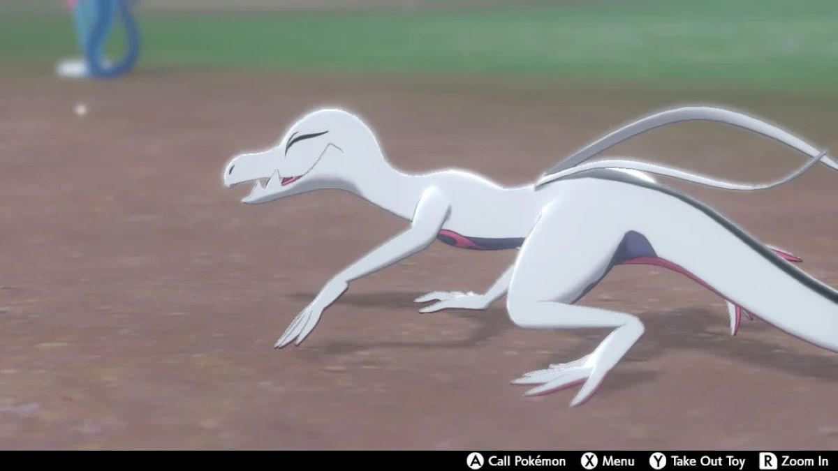 Shiny Salazzle at camp in Pokemon Sword & Shield